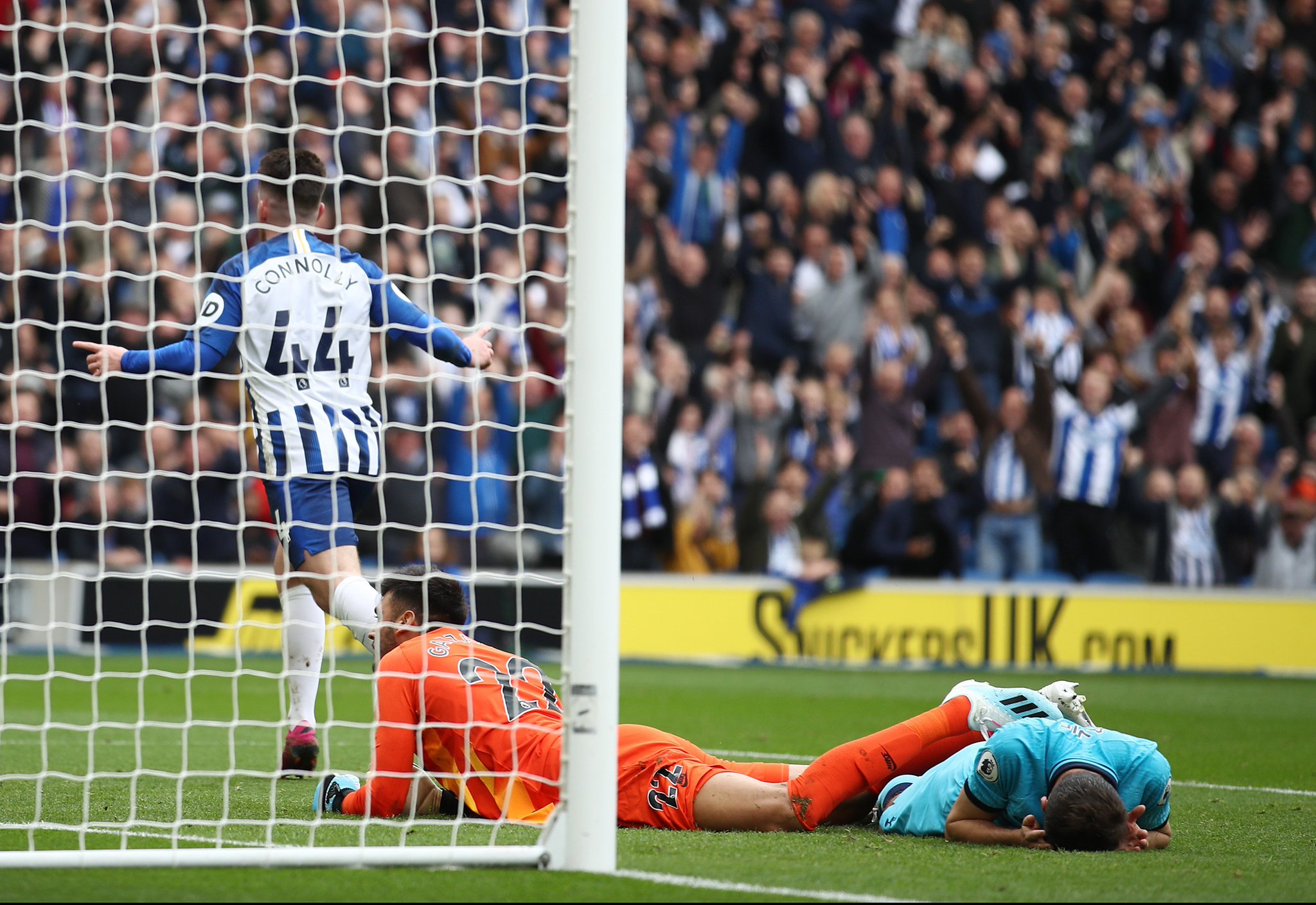 升起的新星 升起的新星