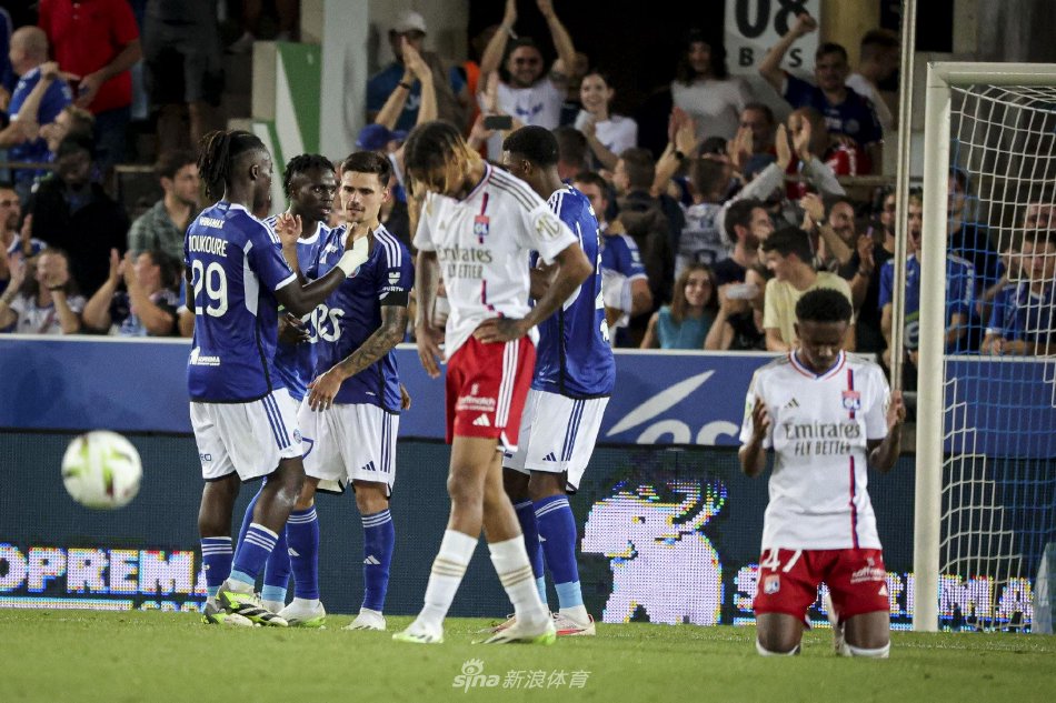 了信心基础 了信心基础